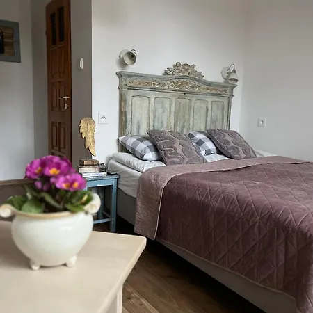 Gosciniec Strzecha Guest house *